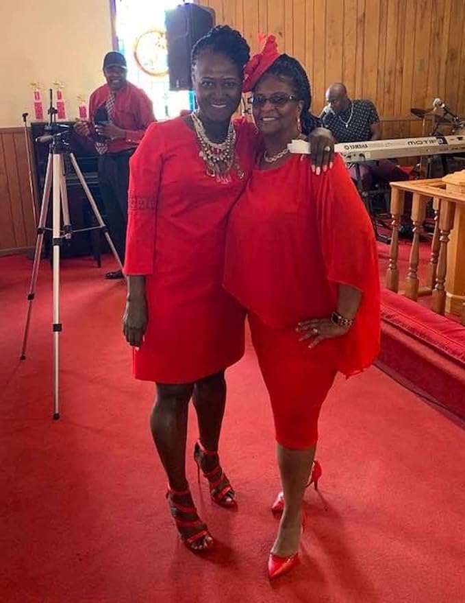 Chiffon Overlay Sequin Bodycon Pencil Dress RO13 - Image 2