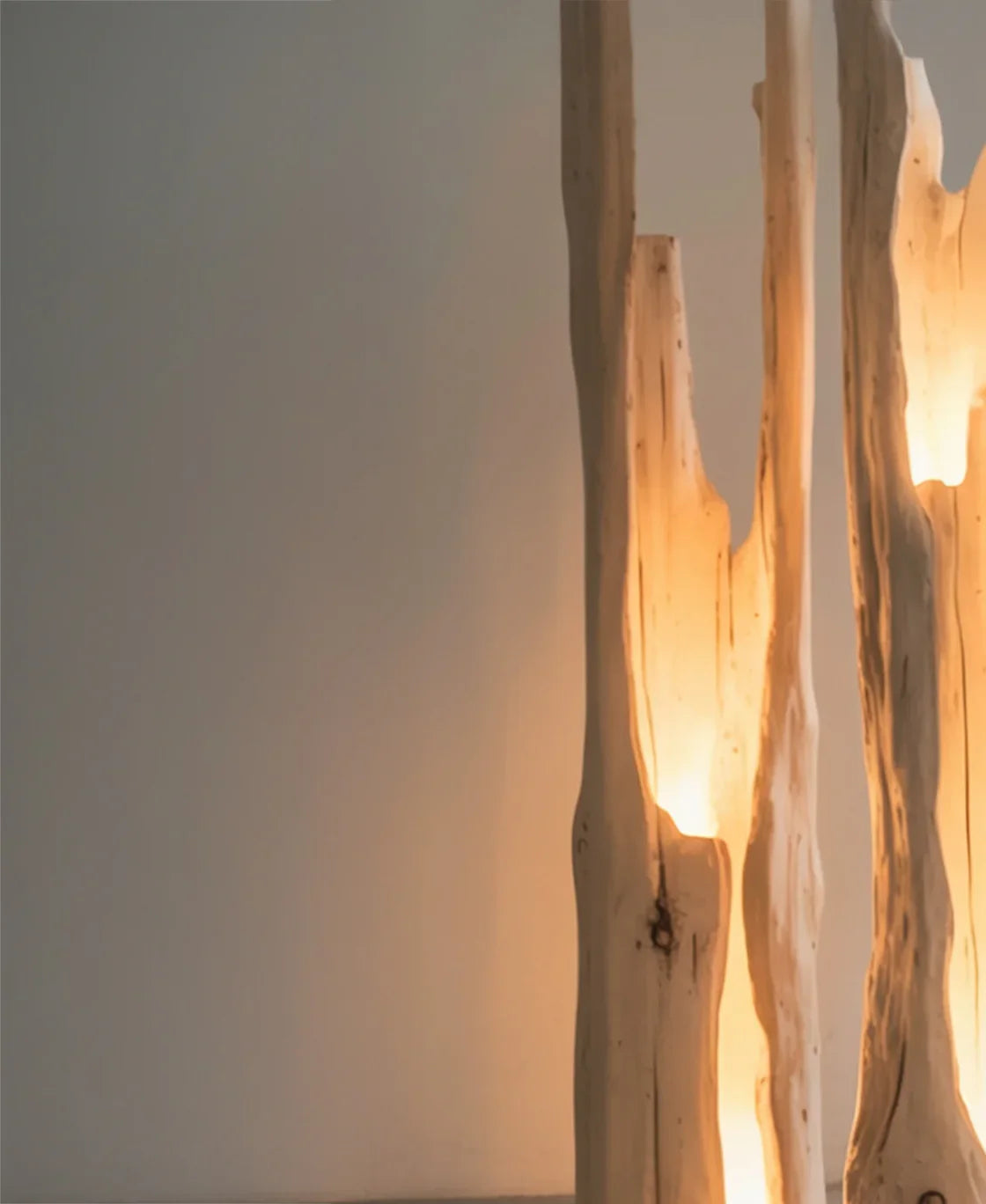 Rustic Driftwood Floor Lamp - Image 4
